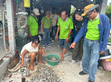 โครงการส่งเสริมและพัฒนาเกษตรปลอดภัยในสถาบันเกษตรกร ... พารามิเตอร์รูปภาพ 6